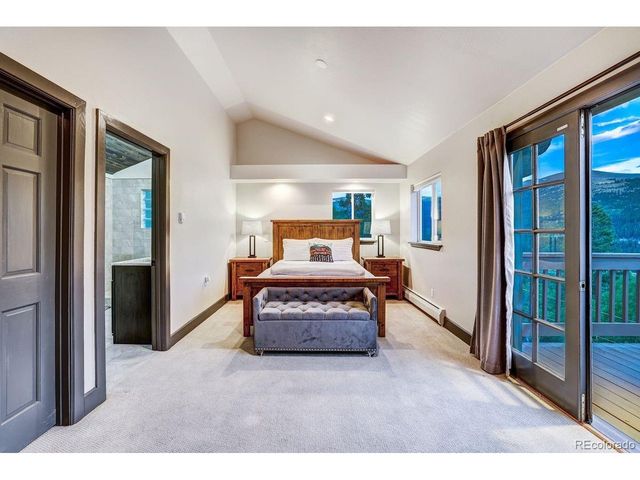 1095 Quartzville Rd, Alma, CO 80440