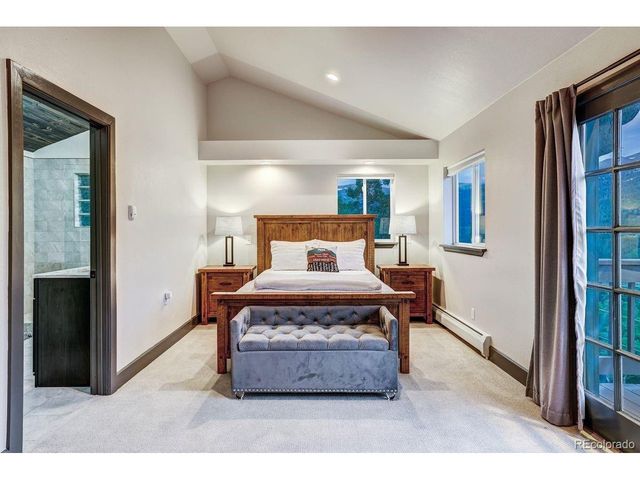 1095 Quartzville Rd, Alma, CO 80440