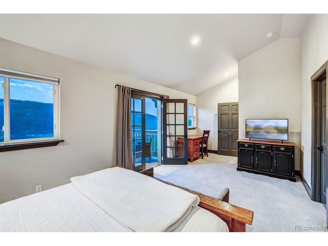 1095 Quartzville Rd, Alma, CO 80440