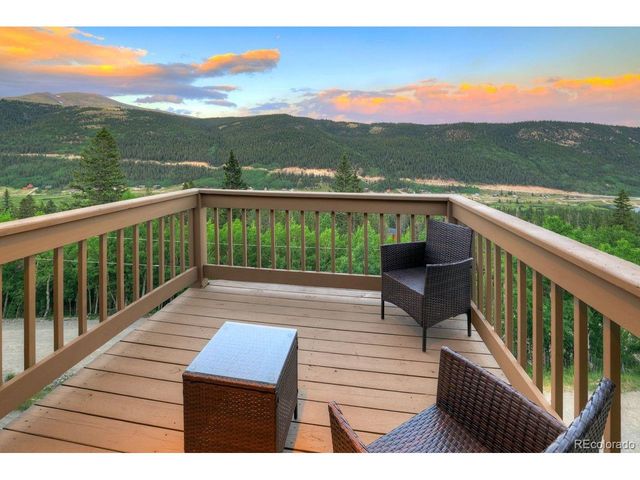 1095 Quartzville Rd, Alma, CO 80440