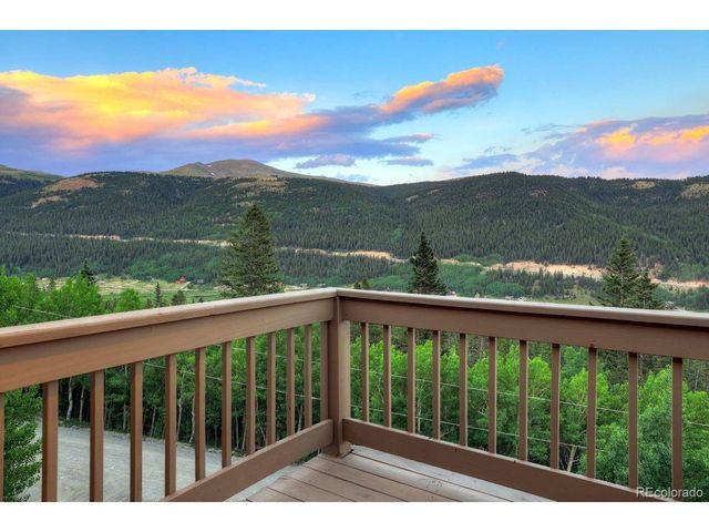 1095 Quartzville Rd, Alma, CO 80440