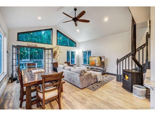 1095 Quartzville Rd, Alma, CO 80440