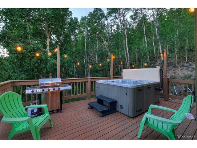 1095 Quartzville Rd, Alma, CO 80440