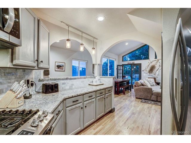 1095 Quartzville Rd, Alma, CO 80440