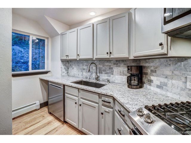 1095 Quartzville Rd, Alma, CO 80440