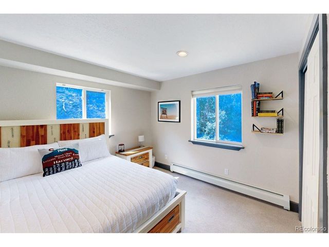 1095 Quartzville Rd, Alma, CO 80440