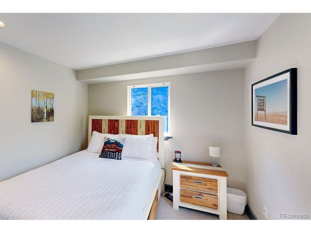 1095 Quartzville Rd, Alma, CO 80440