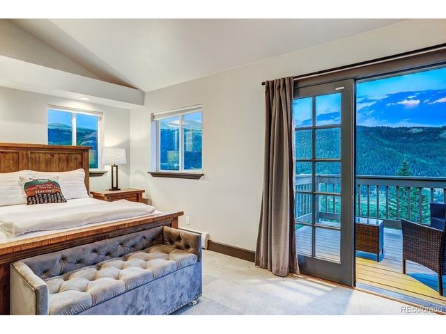 1095 Quartzville Rd, Alma, CO 80440
