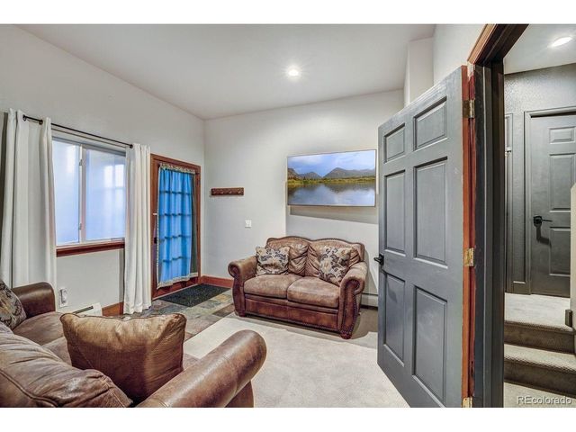 1095 Quartzville Rd, Alma, CO 80440