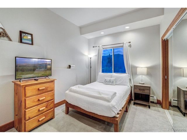 1095 Quartzville Rd, Alma, CO 80440