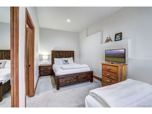 1095 Quartzville Rd, Alma, CO 80440