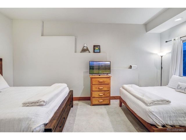 1095 Quartzville Rd, Alma, CO 80440
