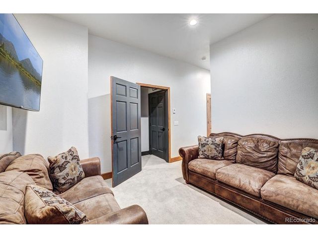 1095 Quartzville Rd, Alma, CO 80440