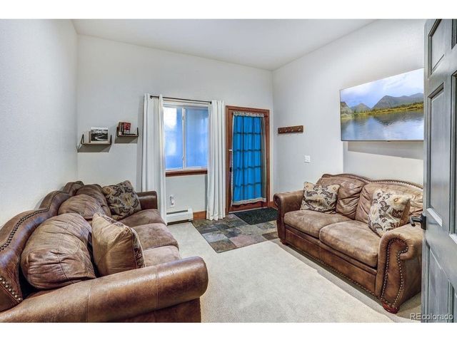 1095 Quartzville Rd, Alma, CO 80440