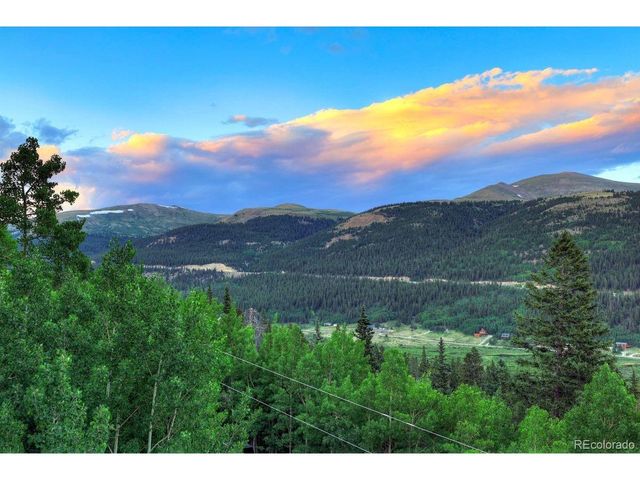 1095 Quartzville Rd, Alma, CO 80440