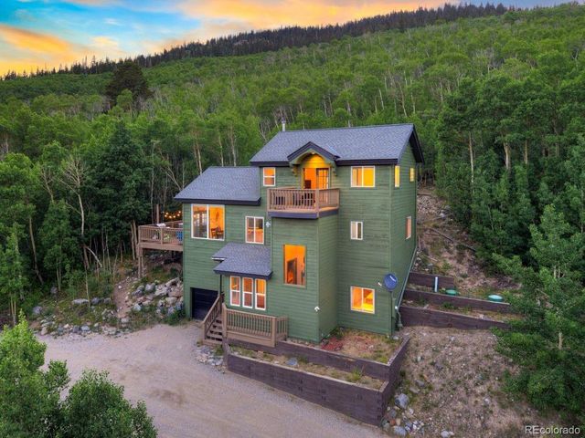 1095 Quartzville Rd, Alma, CO 80440