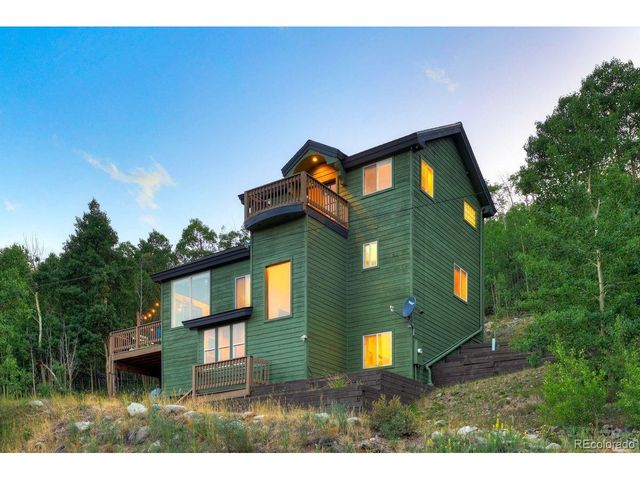 1095 Quartzville Rd, Alma, CO 80440