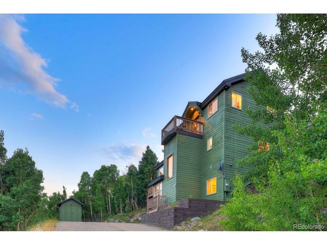 1095 Quartzville Rd, Alma, CO 80440