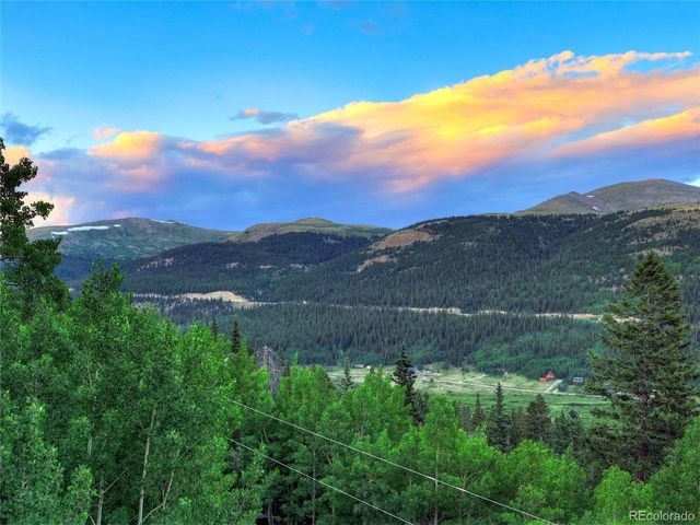 1095 Quartzville Rd, Alma, CO 80440