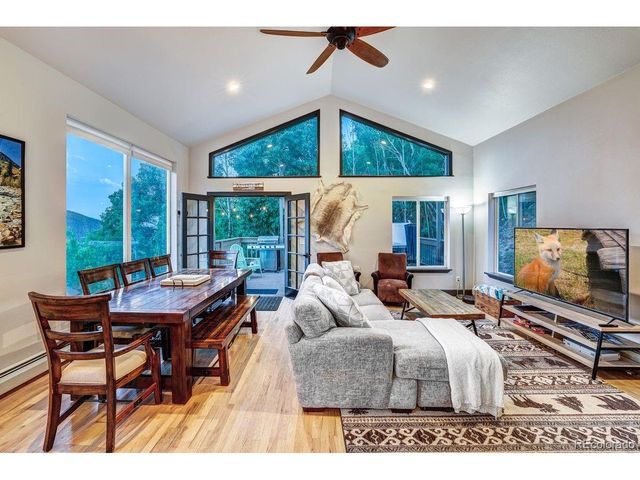 1095 Quartzville Rd, Alma, CO 80440