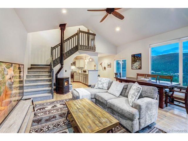 1095 Quartzville Rd, Alma, CO 80440