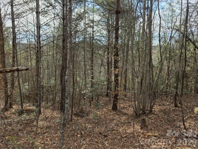 Lot 4 Kerlee Lane, Old Fort, NC 28762