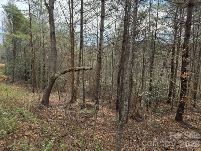 Lot 4 Kerlee Lane, Old Fort, NC 28762