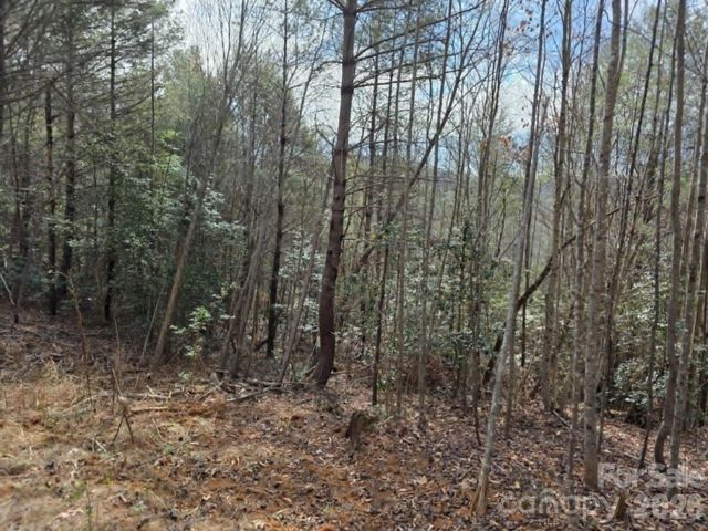 Lot 4 Kerlee Lane, Old Fort, NC 28762
