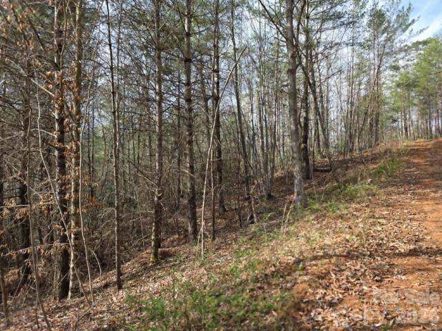 Lot 4 Kerlee Lane, Old Fort, NC 28762