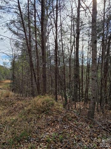 Lot 4 Kerlee Lane, Old Fort, NC 28762