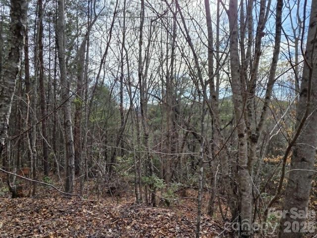 Lot 4 Kerlee Lane, Old Fort, NC 28762