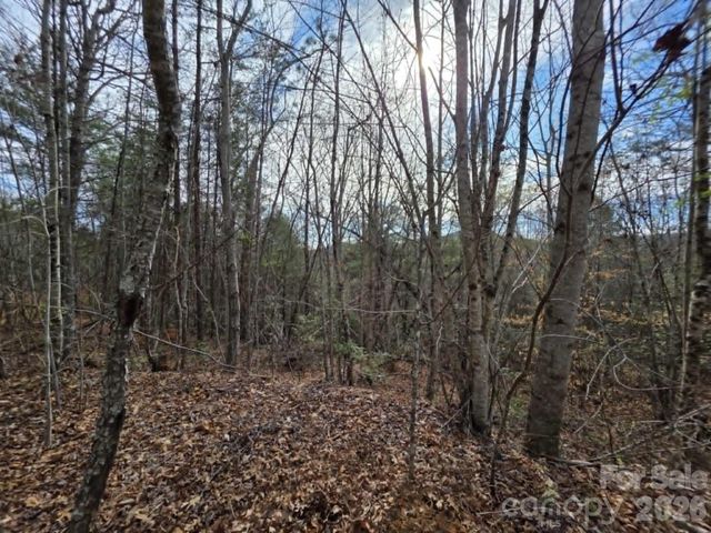 Lot 4 Kerlee Lane, Old Fort, NC 28762