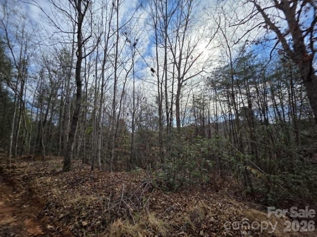 Lot 4 Kerlee Lane, Old Fort, NC 28762