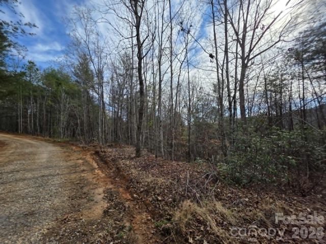 Lot 4 Kerlee Lane, Old Fort, NC 28762