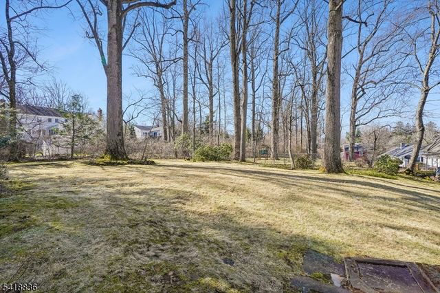 535 Fairmount Ave, Chatham Twp., NJ 07928