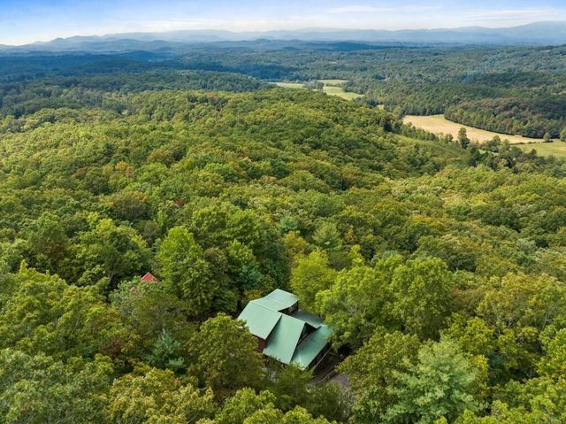 100 Wintermute Drive, Mineral Bluff, GA 30559