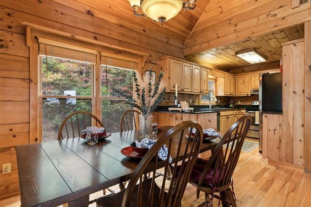 100 Wintermute Drive, Mineral Bluff, GA 30559