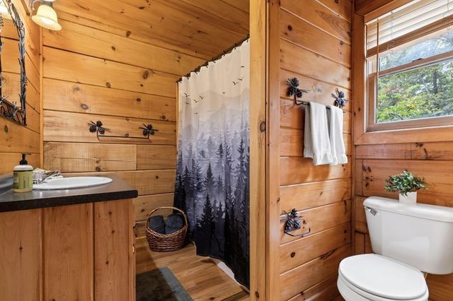 100 Wintermute Drive, Mineral Bluff, GA 30559