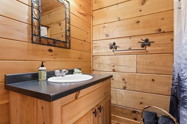 100 Wintermute Drive, Mineral Bluff, GA 30559