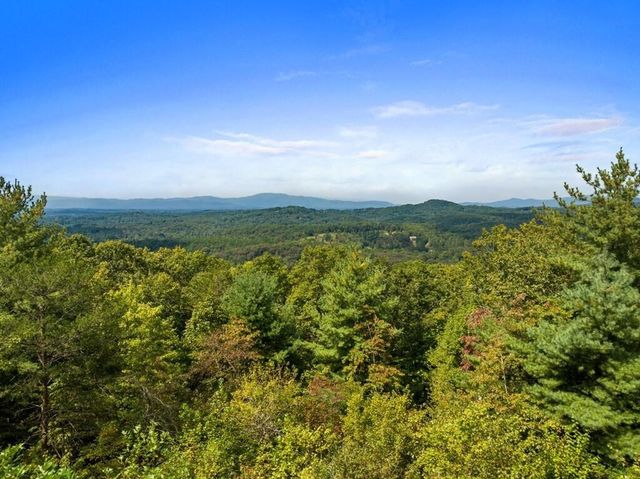 100 Wintermute Drive, Mineral Bluff, GA 30559