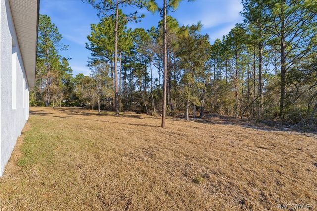 8041 N Pickinz Way, Citrus Springs, FL 34433