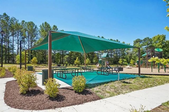 122 Chedworth Drive, Angier, NC 27501