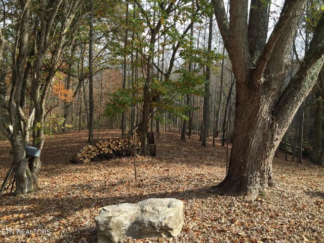 3265 Leatherwood Ford Rd, Jamestown, TN 38556