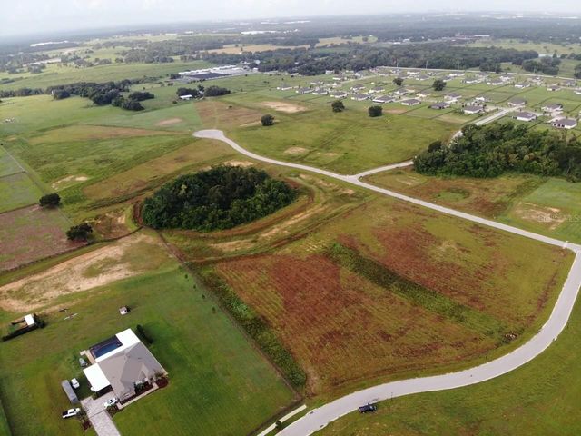 11625 SPOONBILL RUN DRIVE, Thonotosassa, FL 33592
