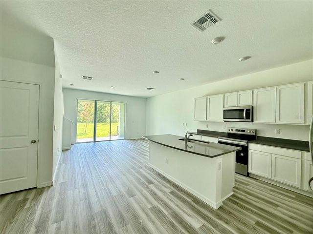 11406 VELVET APRICOT DRIVE, Land O Lakes, FL 34638