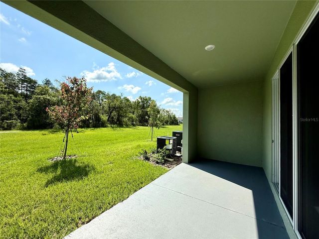 11406 VELVET APRICOT DRIVE, Land O Lakes, FL 34638