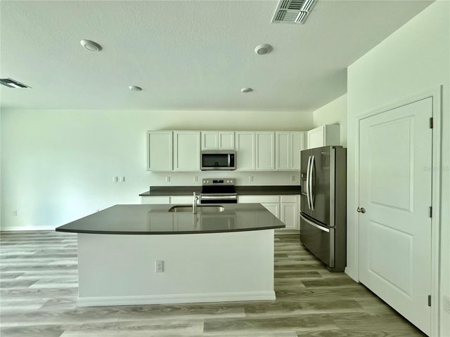 11406 VELVET APRICOT DRIVE, Land O Lakes, FL 34638