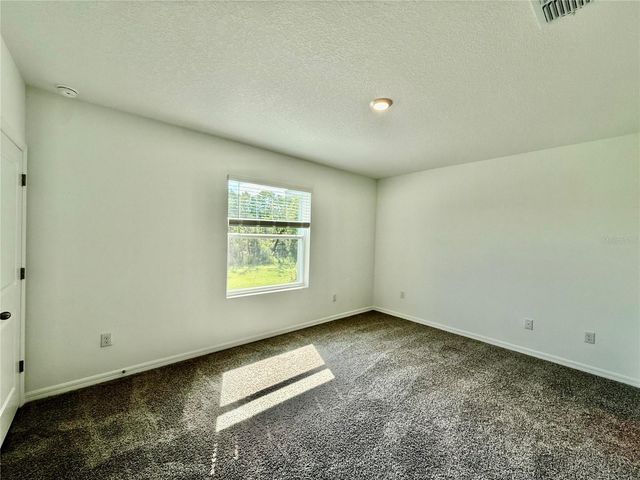 11406 VELVET APRICOT DRIVE, Land O Lakes, FL 34638