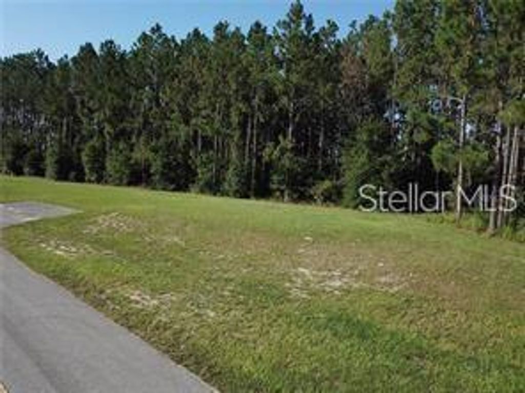 LAKE SMITH ROAD, Umatilla, FL 32784