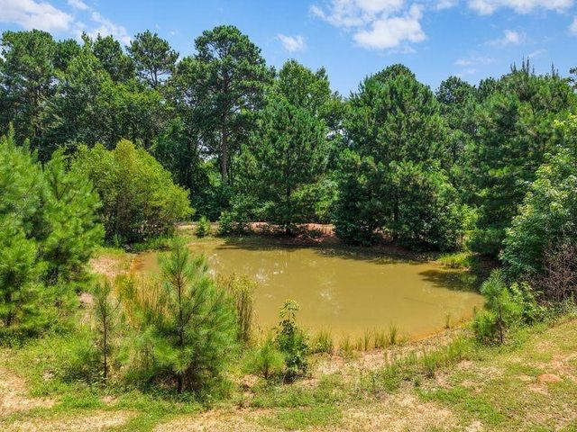 2226 Holly Road, Gilmer, TX 75644